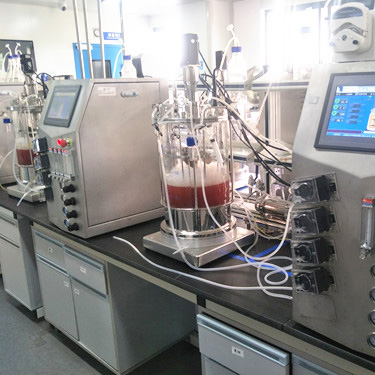 10l Glass Cell Bioreactor